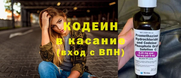 ГАЛЛЮЦИНОГЕННЫЕ ГРИБЫ Арсеньев