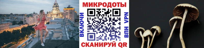 Галлюциногенные грибы MAGIC MUSHROOMS  mega как зайти  Вятские Поляны 
