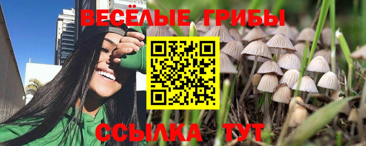Вятские Поляны  Галлюциногенные грибы MAGIC MUSHROOMS  Вход с VPN  Псилоцибиновые грибы Psilocybe 